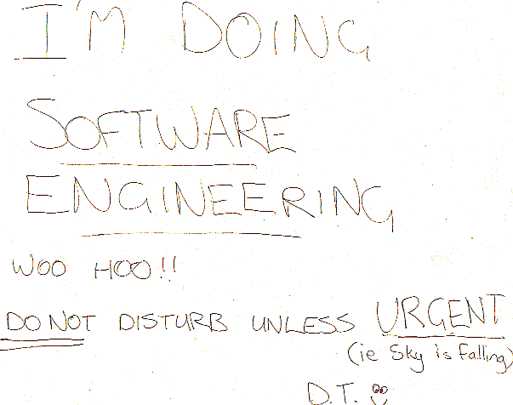I'm Doing Software Engineering